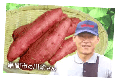 さつまいも画像